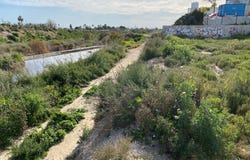 Elche/Elx, Valencian Community