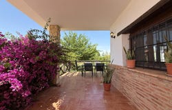 Agost, Valencian Community 03698