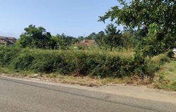 O Rosal, Pontevedra