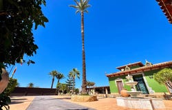 Almoradi, Valencian Community 03169