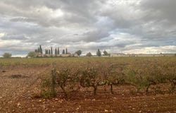 Albacete, Castilla le Mancha 02005