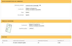 Elche/Elx, Valencian Community