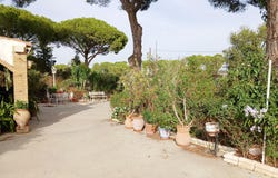 Bonares, Andalusia 21830