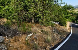 L'Atzúbia, Valencian Community 03786