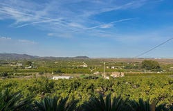 Partida Sorell, Pego, Valencian Community 03780