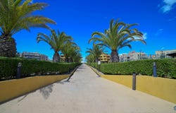 Alcossebre, Valencian Community 12579