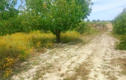 Bèlgida, Valencian Community 46868