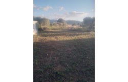 Ginestar, Catalonia 43748