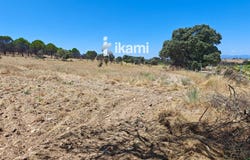 Toledo, Castile-La Mancha 45950