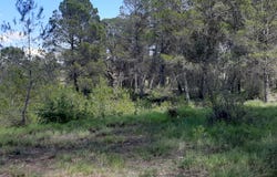 Planes, Valencian Community 03828