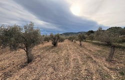 Onil, Valencia 03430