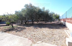 Vinaros, Valencian Community 12500