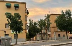 Elche/Elx, Valencian Community