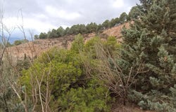 Carataunas, Andalusia