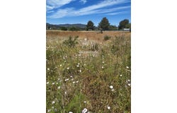 Ca Na Negreta, Balearic Islands 07849