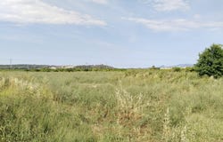Càrcer, Valencian Community