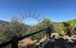 Sayalonga, Andalusia 29752