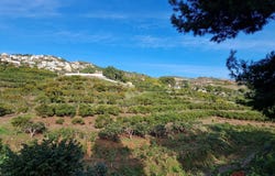 Salobreña, Andalusia 18680