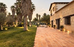 Elche, Valencian Community 03200
