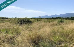 Riola, Valencian Community 46417