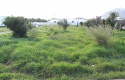 Els Poblets, Valencian Community 03779