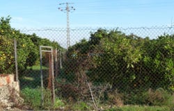 Oliva, Valencian Community 46780