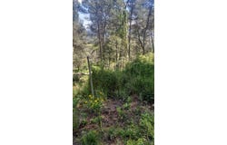Mediona, Catalonia 08773