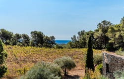 Tivissa, Catalonia 43746