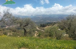El Valle, Andalusia 18658