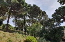 Vallromanes, Catalonia 08188