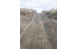 El Sabinal, Canary Islands 35017