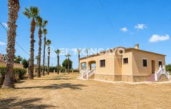 Catral, Valencian Community 03158
