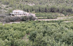 Adsubia, Valencian Community 03786