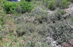 Pego, Valencian Community 03780