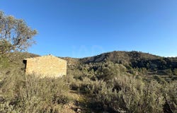 Flix, Catalonia 43750