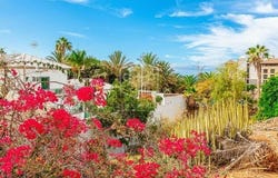 Adeje, Tenerife