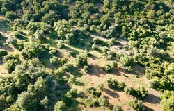 Gaucín, Andalusia 29480