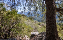 Soller, Balearic Islands 07100