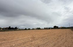 Culebrón, Valencia 03658