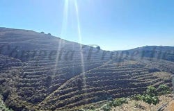 Torrox, Andalusia 29770