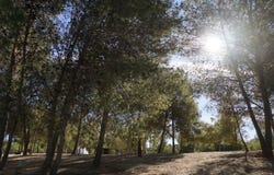 Viñuela, Andalusia 29712