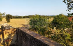 Corça, Catalonia 17121