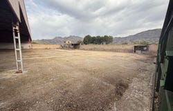 Orihuela, Valencian Community 03300