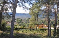 Alcalalí, Valencia 03728