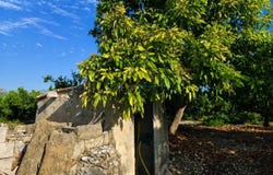 Pego, Valencian Community 03780