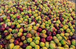 Badajoz, Extremadura