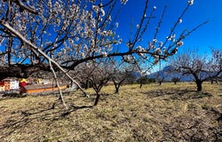 Tàrbena, Valencia 03518