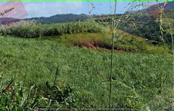 Labasa, Northern Division