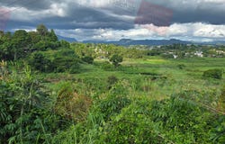 Nadi, Western Division