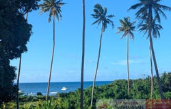 Taveuni, Northern Division